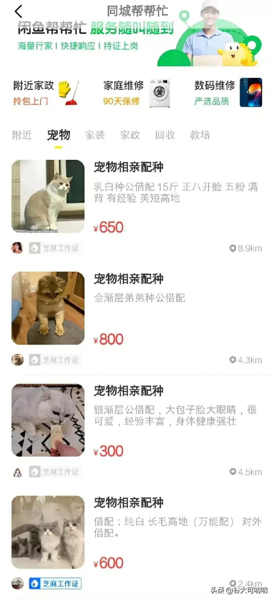 “陪逛街”、“陪诊”等“帮忙服务”这些兼职该在哪里找？ 第5张