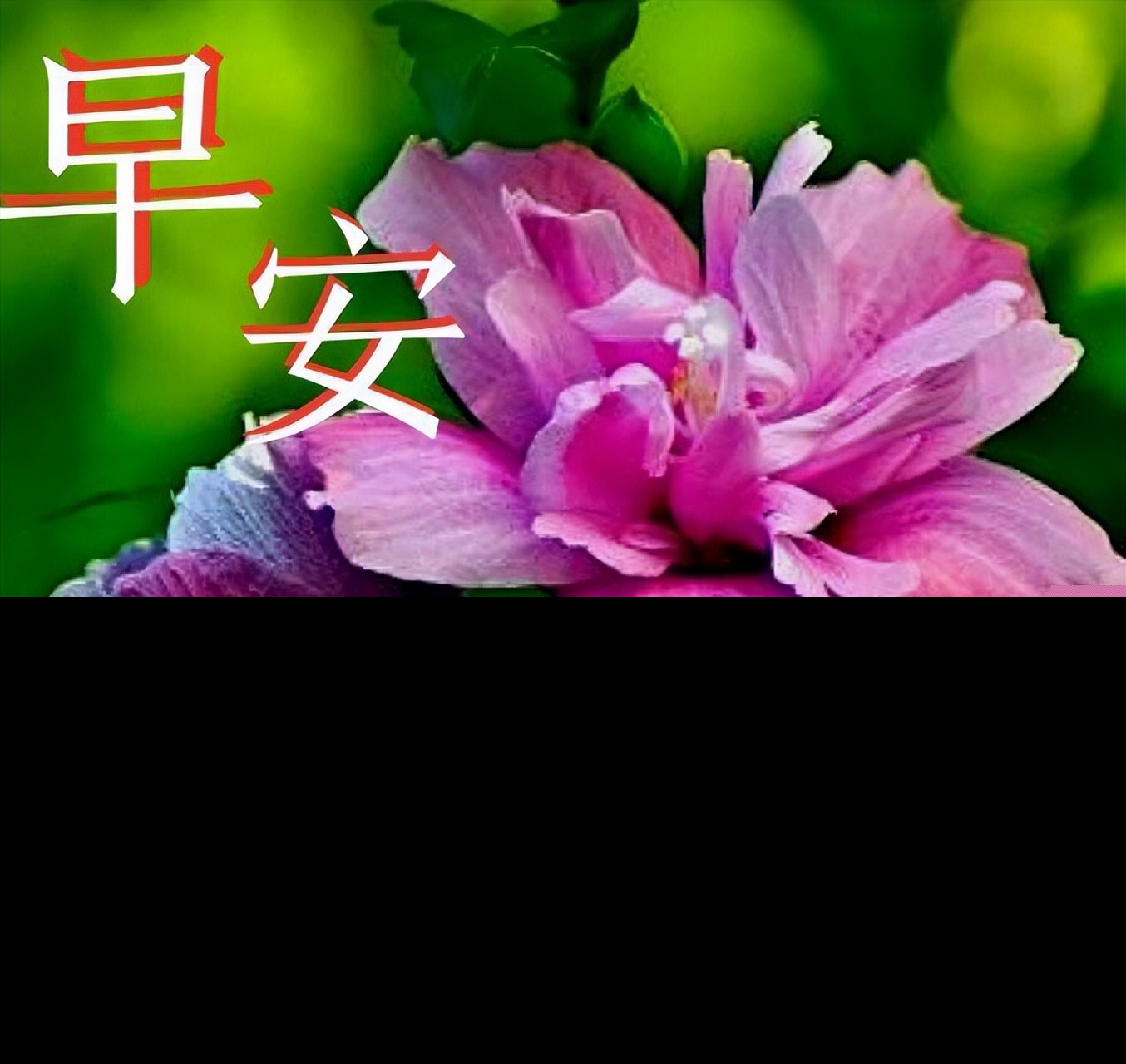 祝福语朋友简短友谊（友谊长久的祝福语短语） 第5张