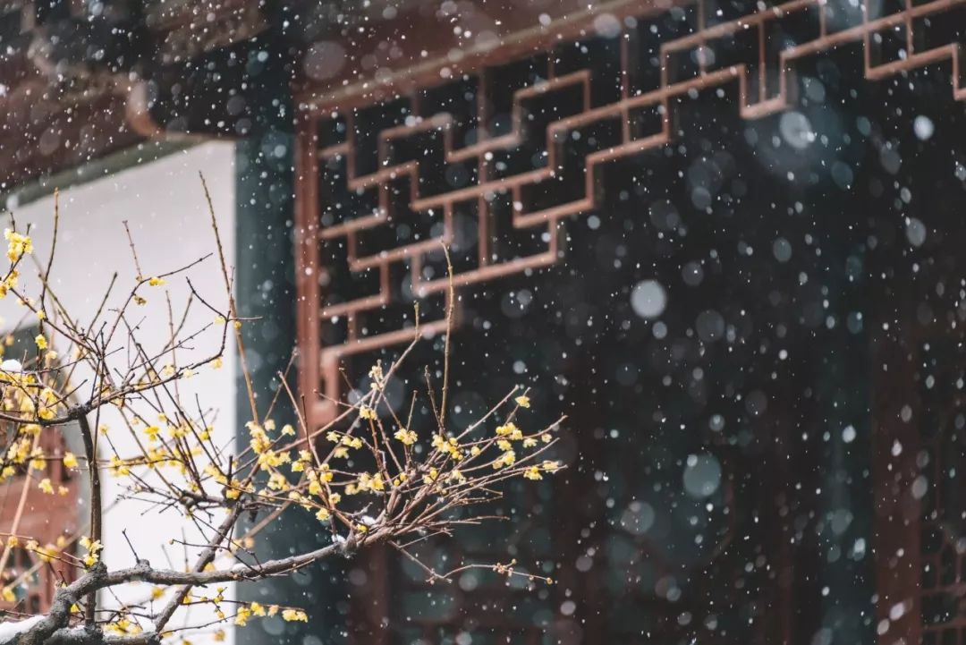 有关冬天的古诗（赞美冬天景色的诗句） 第3张