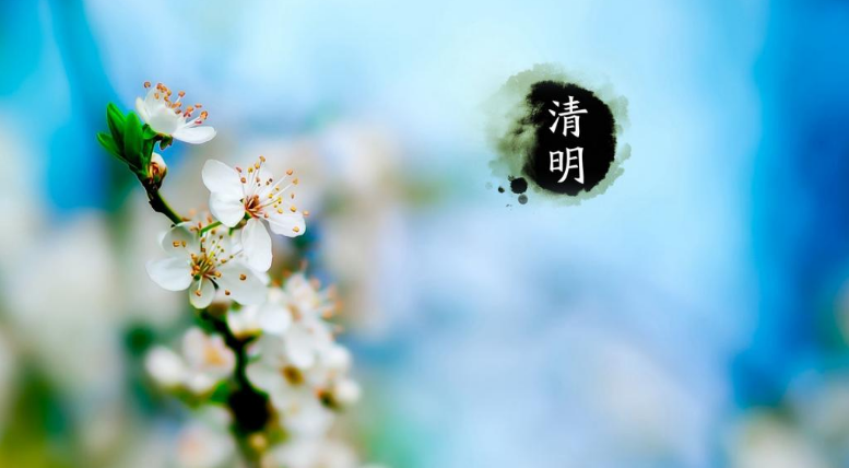 清明祭祖诗句古诗大全(子孙扫墓祭祖诗句) 第11张