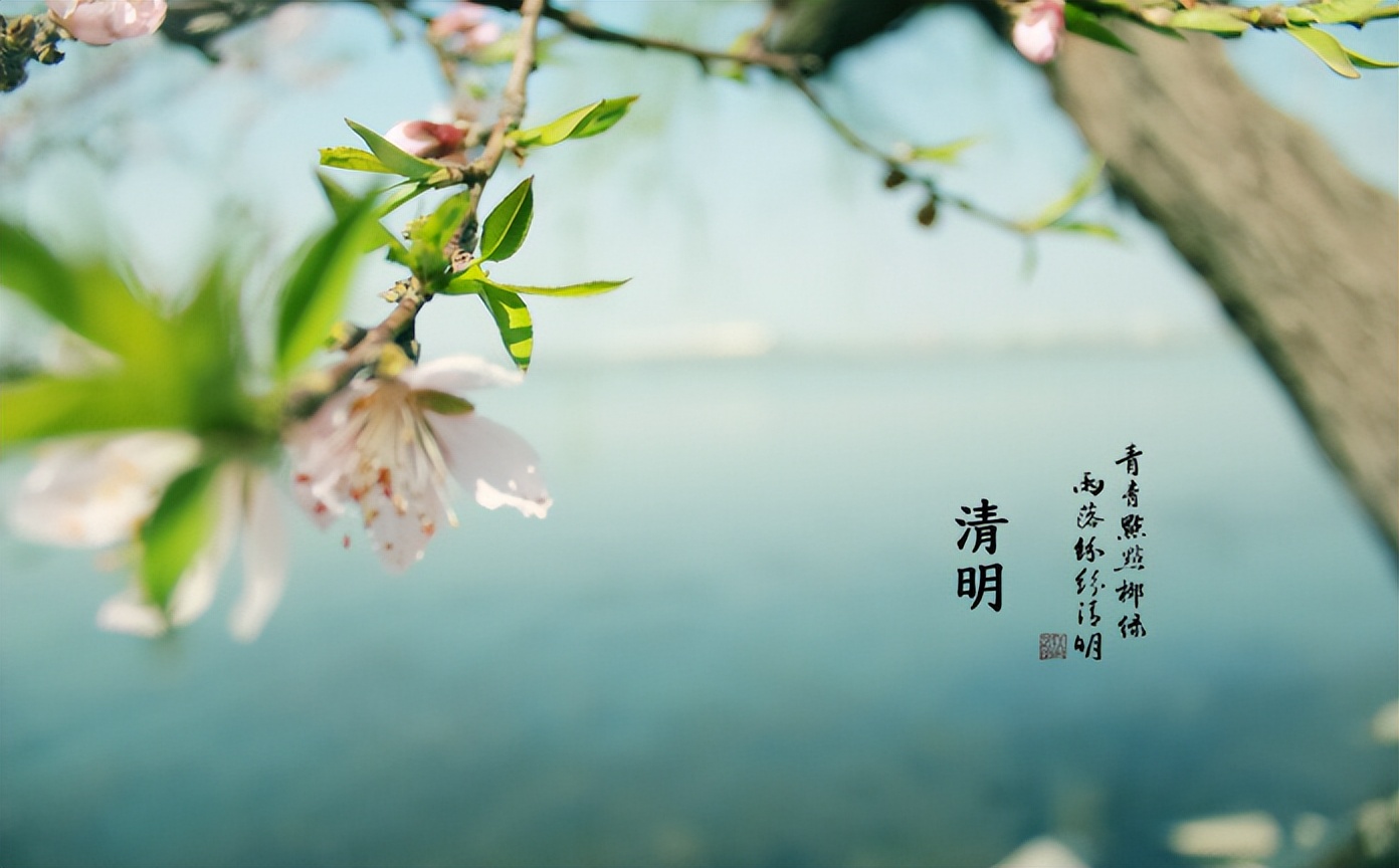 清明祭祖诗句古诗大全(子孙扫墓祭祖诗句) 第19张