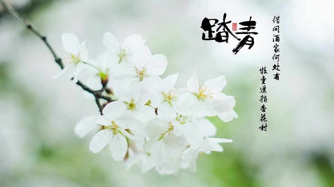 清明祭祖诗句古诗大全(子孙扫墓祭祖诗句) 第27张