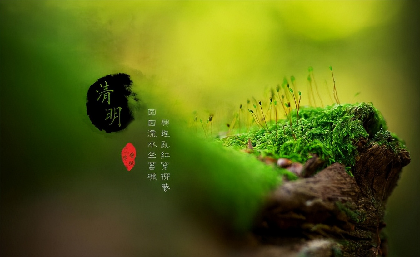 清明祭祖诗句古诗大全(子孙扫墓祭祖诗句) 第35张
