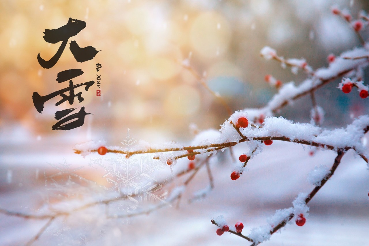 雪的诗句古诗大全（下雪的诗句唯美） 第3张