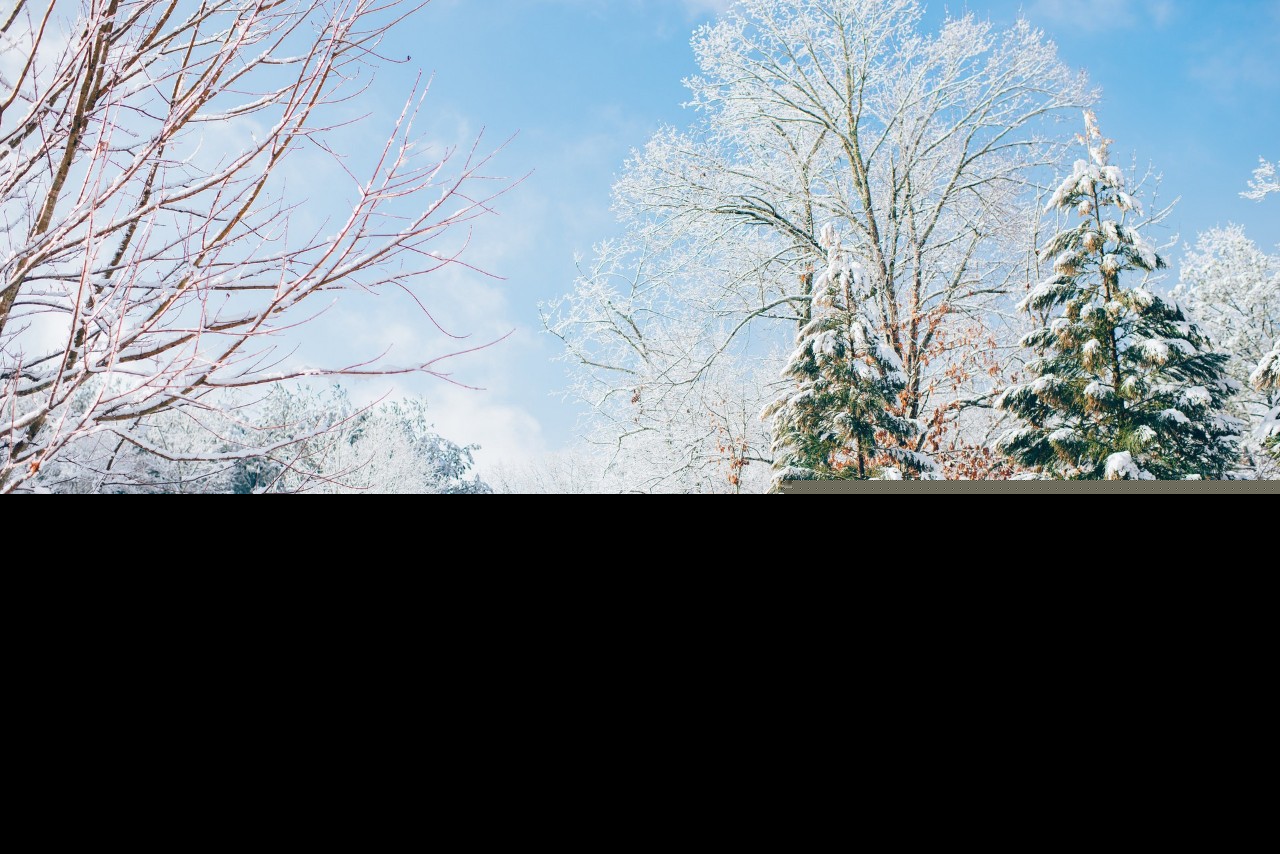 雪的诗句古诗大全（下雪的诗句唯美） 第21张