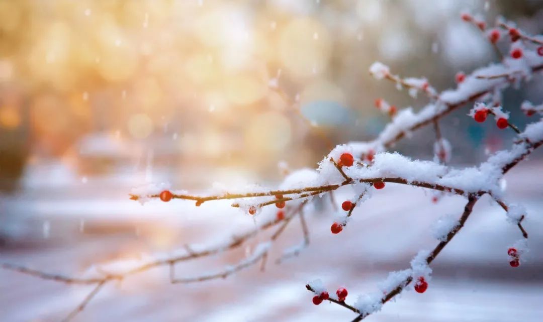 关于下雪的诗句古诗（赞美雪的诗词名句） 第1张