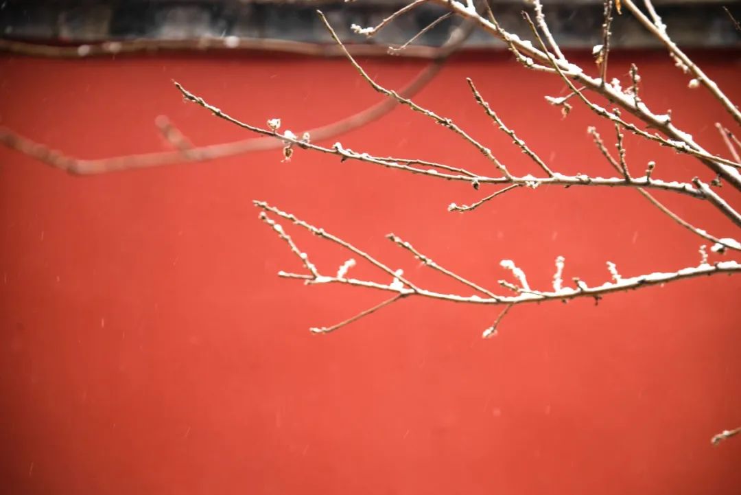 关于下雪的诗句古诗（赞美雪的诗词名句） 第15张