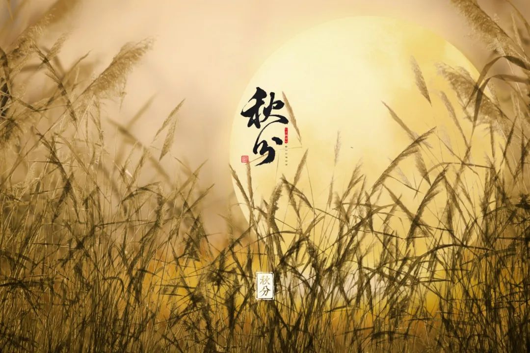 关于秋分的古诗名句（秋分的诗句唯美的诗句） 第3张
