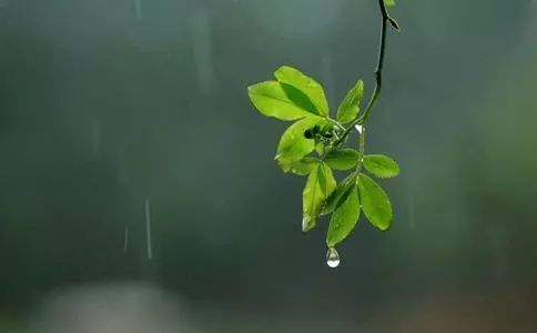 蝶恋花范成大翻译赏析(蝶恋花范成大表达的情感) 第1张