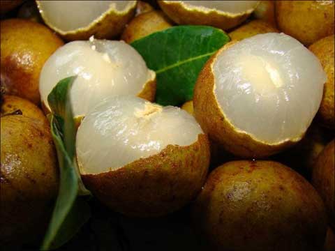 白露节气的特点和风俗（白露节气的由来简介） 第1张