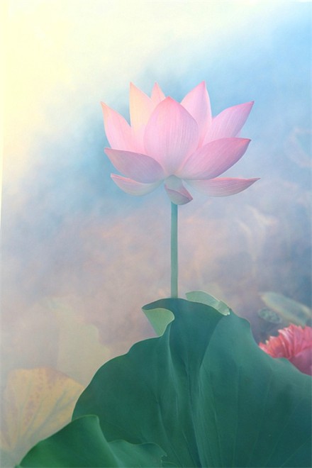 经典人生感悟句子（唯美感悟人生语录） 第3张
