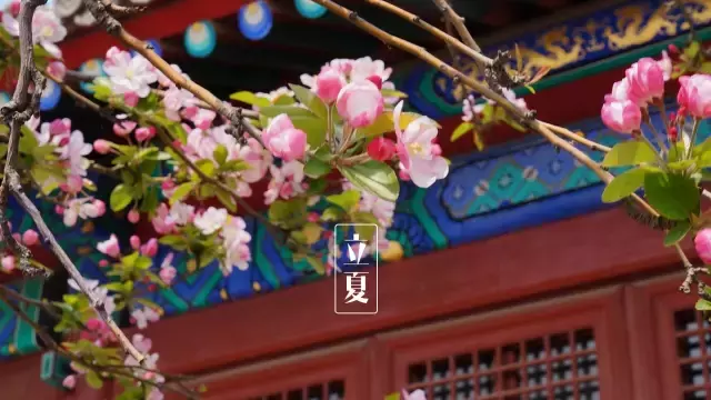 立夏古诗大全简单（立夏经典古诗名句 ） 第5张