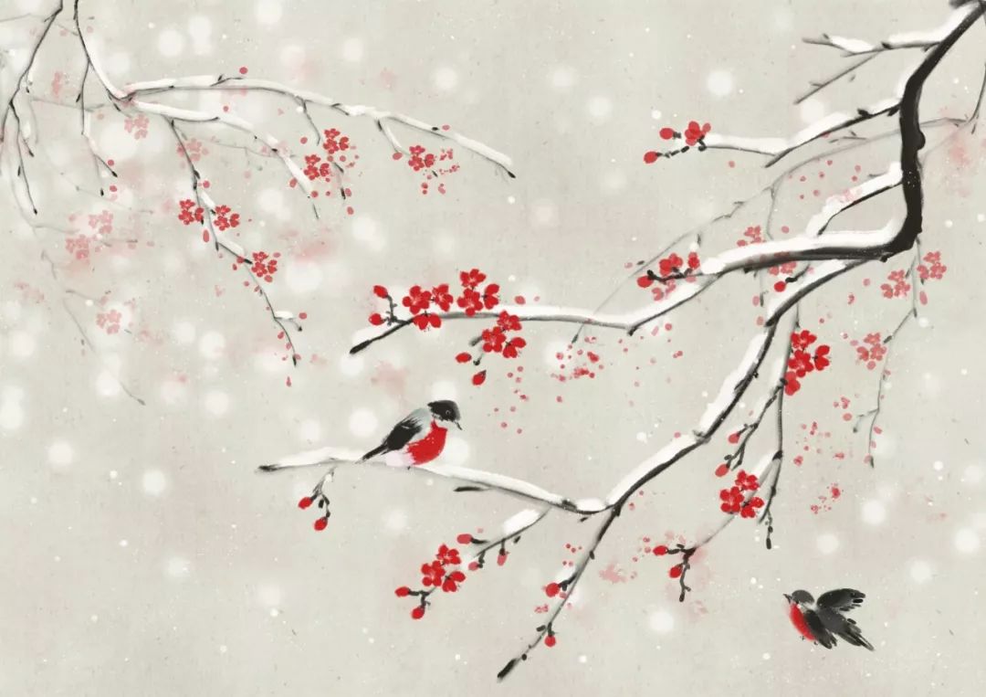 雪的唯美诗句朋友圈（描写雪的优美诗句） 第3张