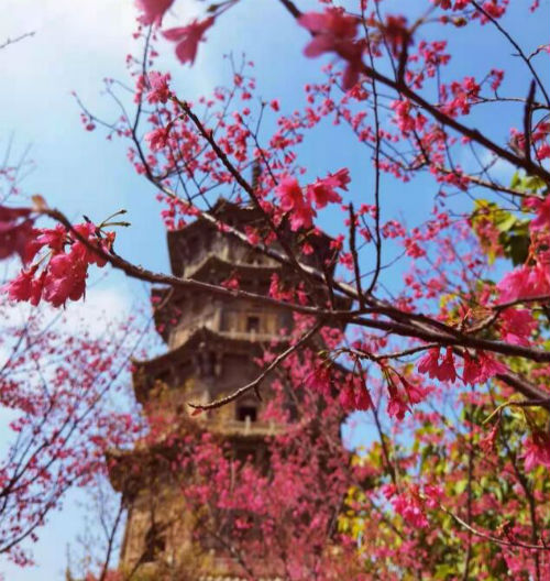 春游的句子短句唯美说说（适合发朋友圈的春天文案） 第1张