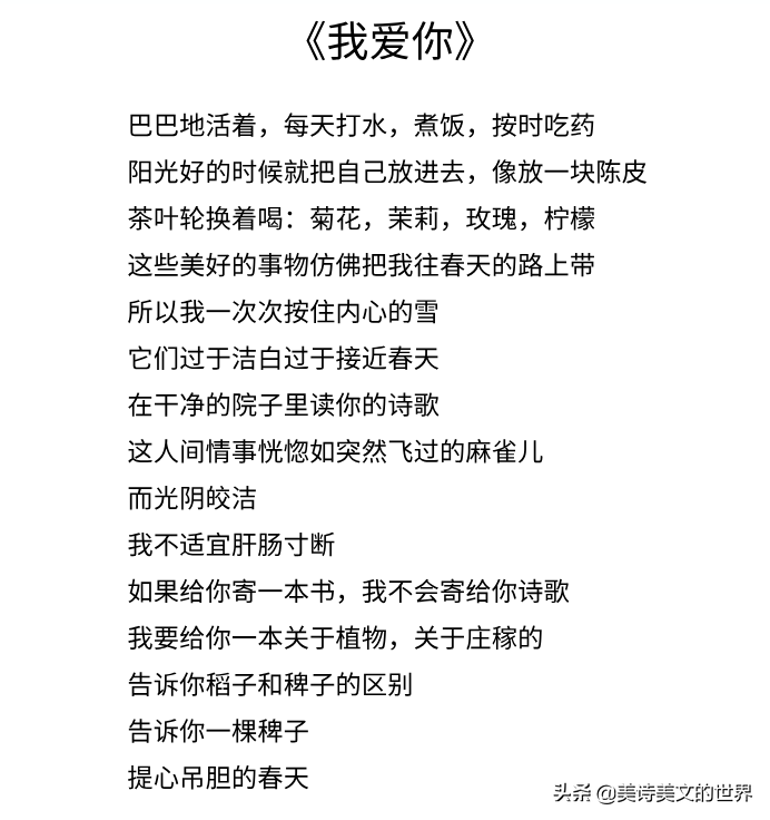 余秀华经典诗句爱情（余光中最惊艳短句） 第5张