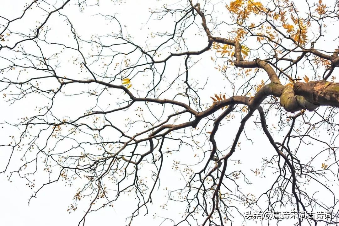 立冬的诗句古诗大全（关于立冬的诗词寓意好） 第7张