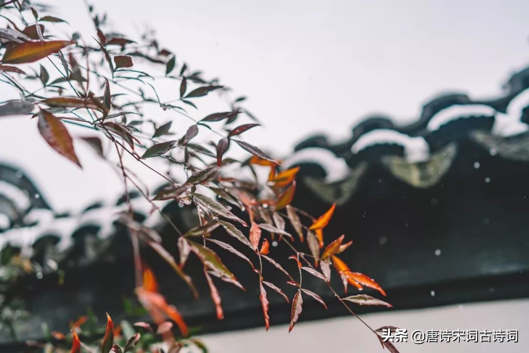 立冬的诗句古诗大全（关于立冬的诗词寓意好） 第9张