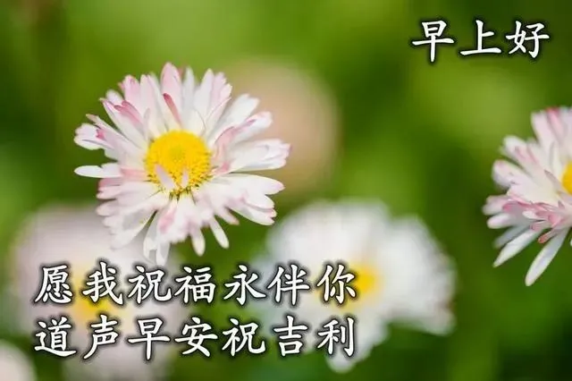 祝福语短信大全（最美祝福语大全简短） 第3张