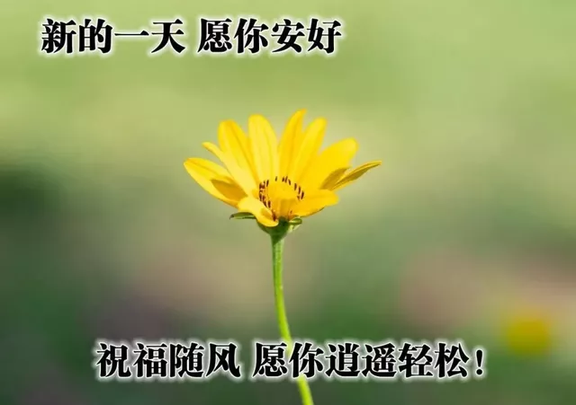 祝福语短信大全（最美祝福语大全简短） 第5张