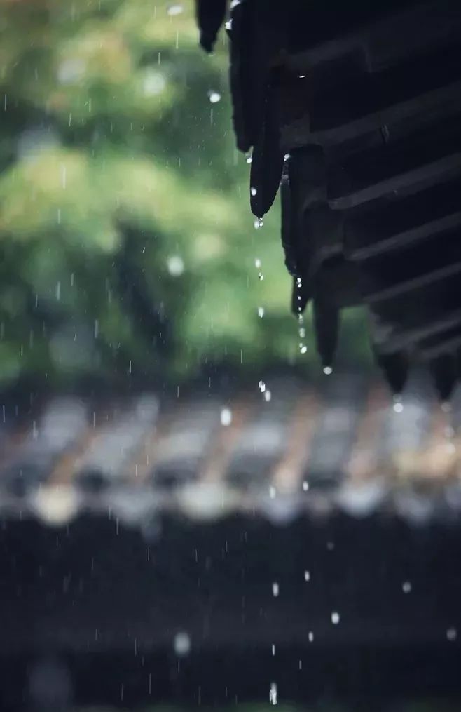 描写秋雨的文章有哪些（描写雨的优美文章） 第1张