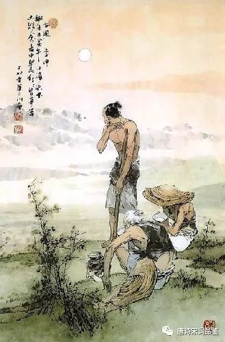 悯农李绅全诗赏析（悯农春种一粒粟鉴赏） 第1张