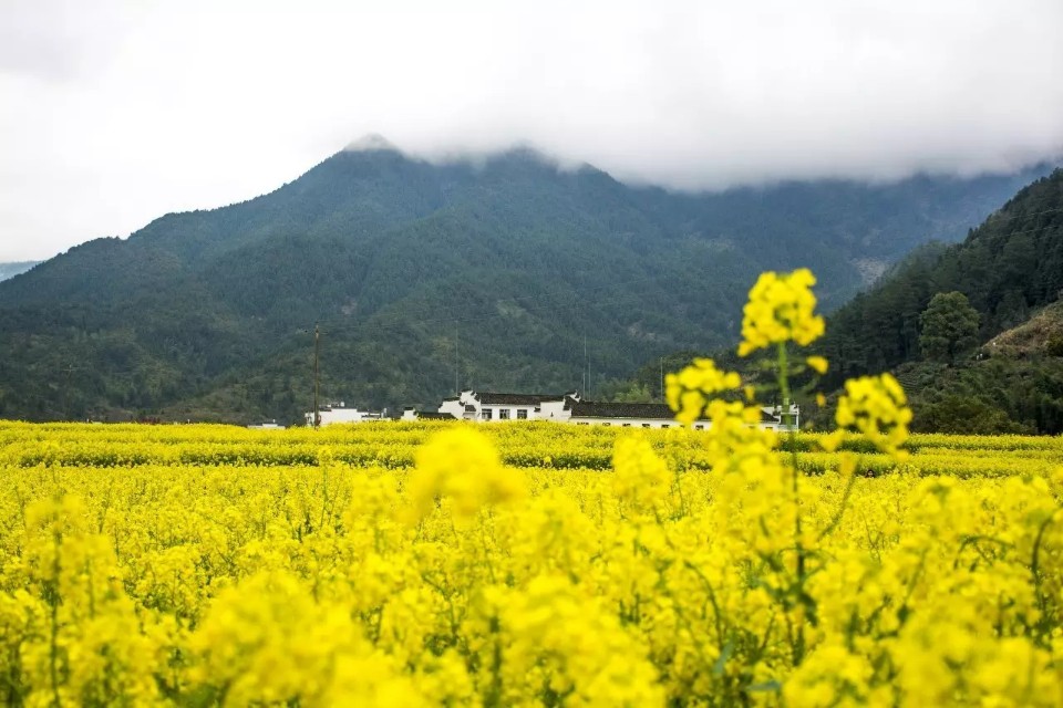 贺新郎甚矣吾衰矣（贺新郎甚矣吾衰矣表达的观点） 第9张