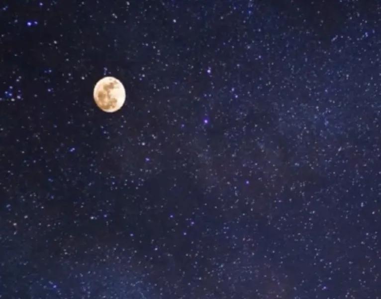 繁星短诗摘抄大全（繁星摘抄大全分享） 第1张