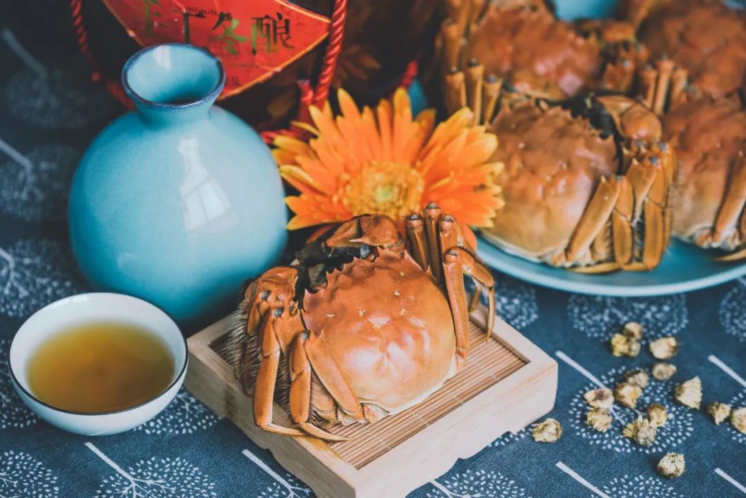 重阳节经典的古诗（关于重阳节的诗词佳句） 第1张