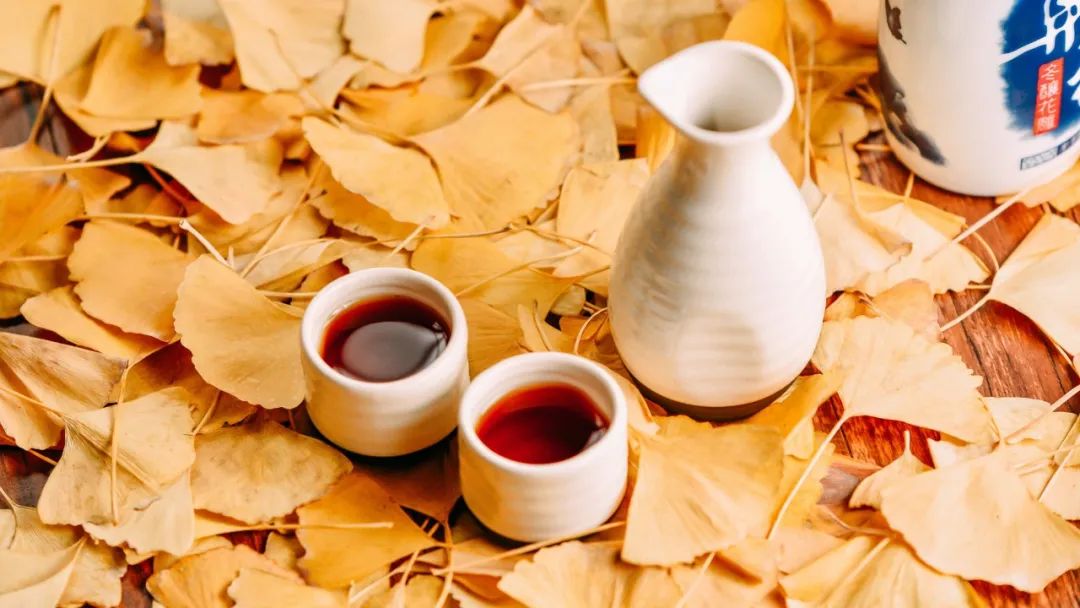 重阳节经典的古诗（关于重阳节的诗词佳句） 第13张