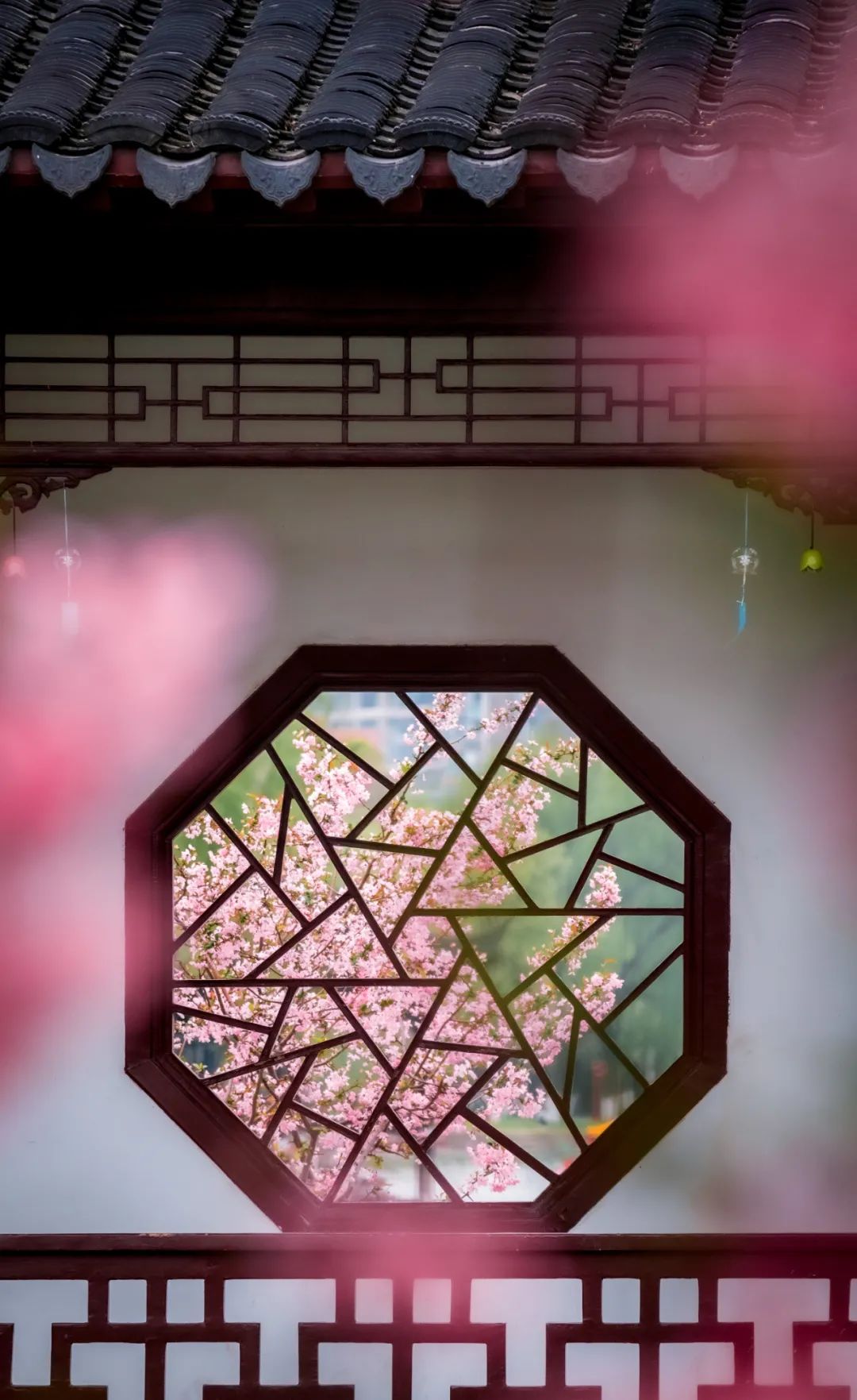 柳永词集有哪些（柳永经典词作鉴赏） 第9张