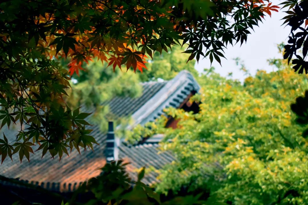 柳永词集有哪些（柳永经典词作鉴赏） 第11张
