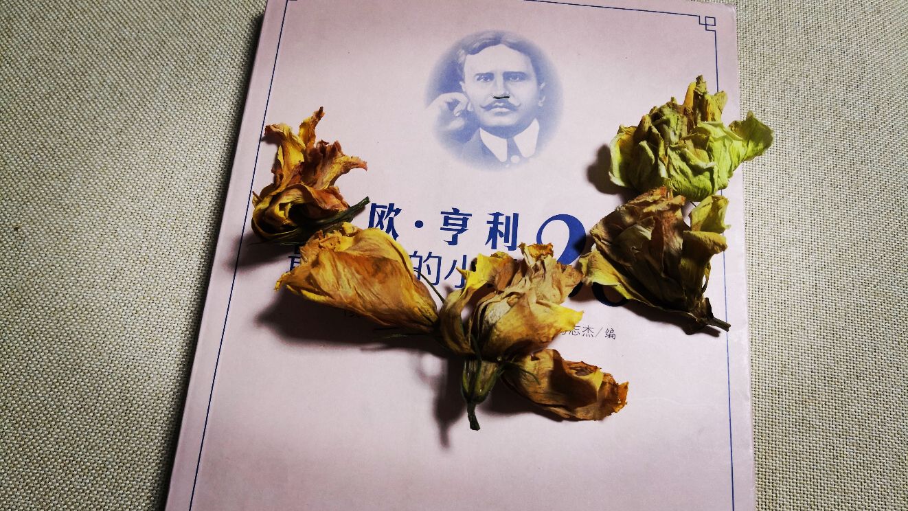 最后的常春藤叶原文阅读（最后的常春藤叶贝尔曼） 第1张