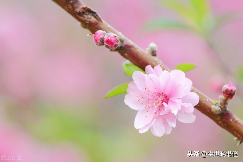 形容不得志的诗句（人生不得志压抑的诗句） 第1张