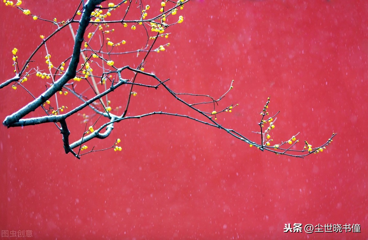 形容不得志的诗句（人生不得志压抑的诗句） 第7张