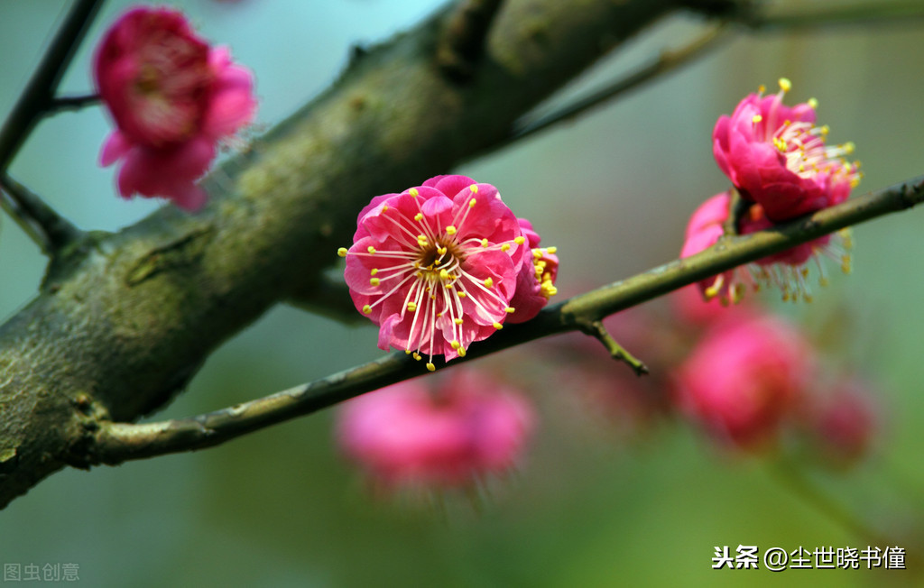 形容不得志的诗句（人生不得志压抑的诗句） 第9张