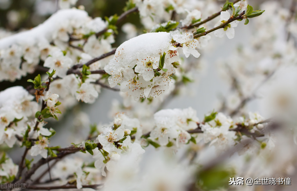 形容不得志的诗句（人生不得志压抑的诗句） 第11张