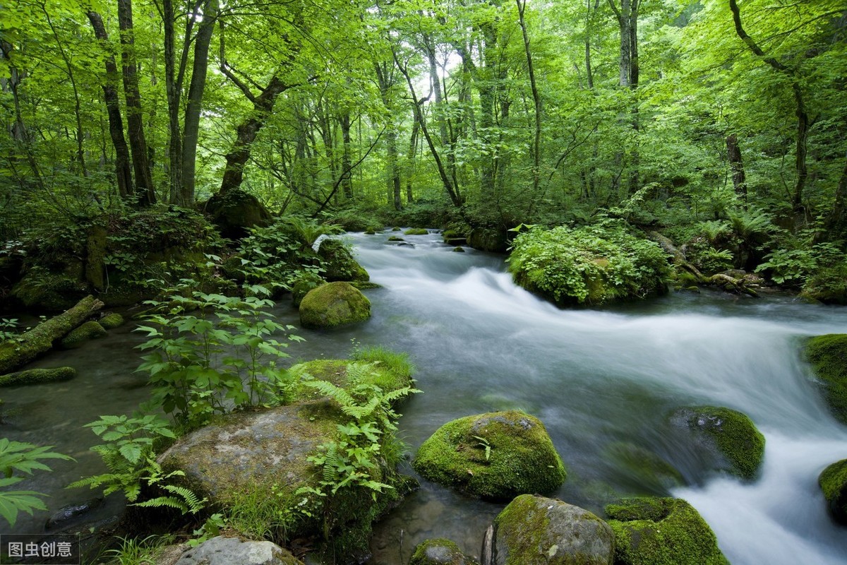 辋川闲居赠裴秀才迪翻译（辋川闲居赠裴秀才迪唐王维赏析） 第7张