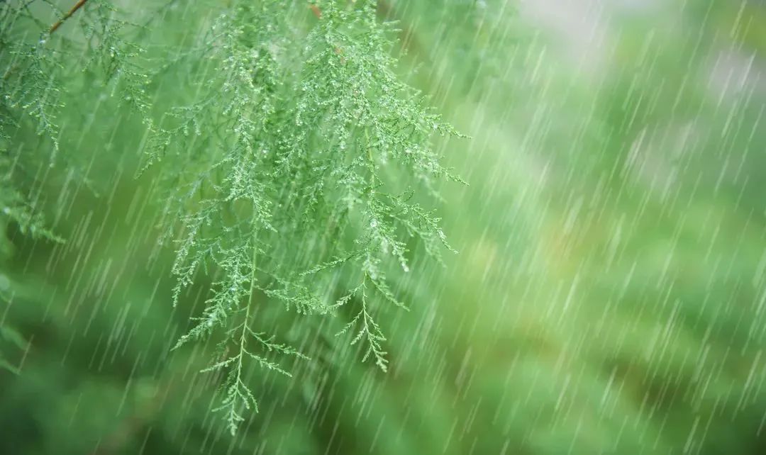 春的诗句大全飞花令（带春字的古诗全部） 第7张