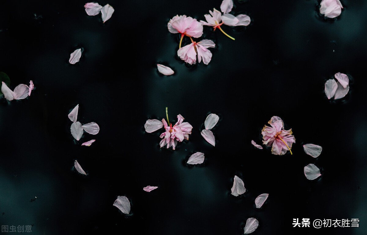 形容花开花落禅意诗（禅语花开花落的句子） 第1张
