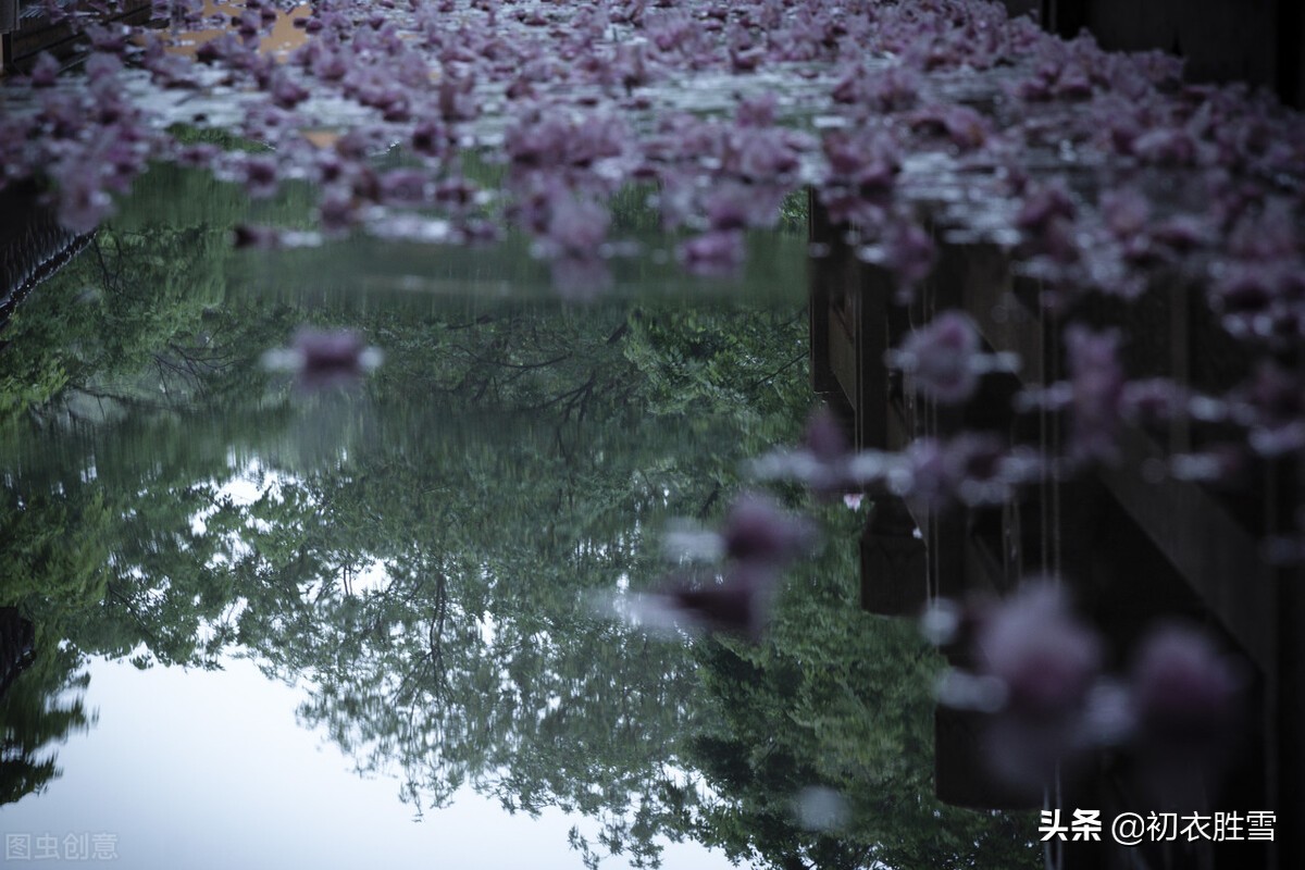 形容花开花落禅意诗（禅语花开花落的句子） 第9张