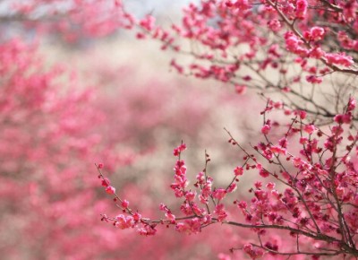 伤感爱情诗词大全（美到窒息的古典诗句） 第3张
