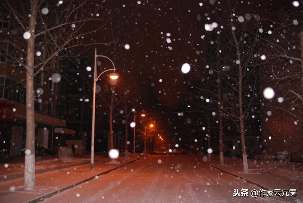 江南几度梅花发全诗（寒梅傲骨经典句子 ） 第1张