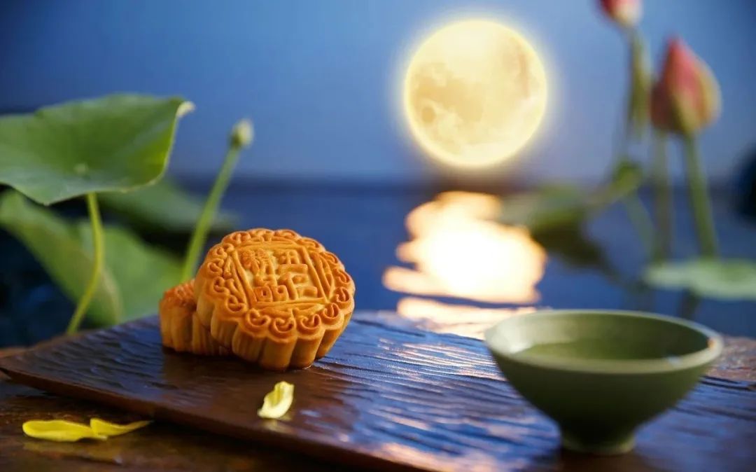 我的思念是圆的赏析（我的思念是圆的主要内容） 第1张
