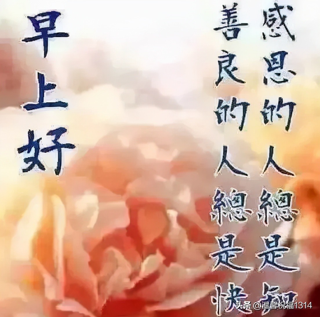 祝福身体健康的祝福语（表达健康平安的成语） 第5张