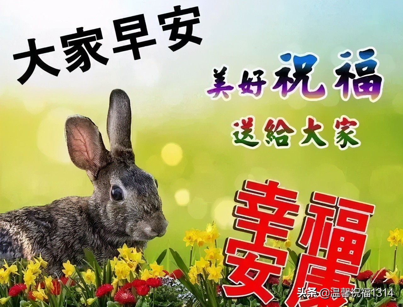 祝福身体健康的祝福语（表达健康平安的成语） 第15张