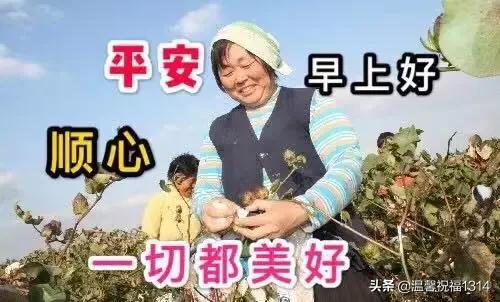 祝福身体健康的祝福语（表达健康平安的成语） 第19张