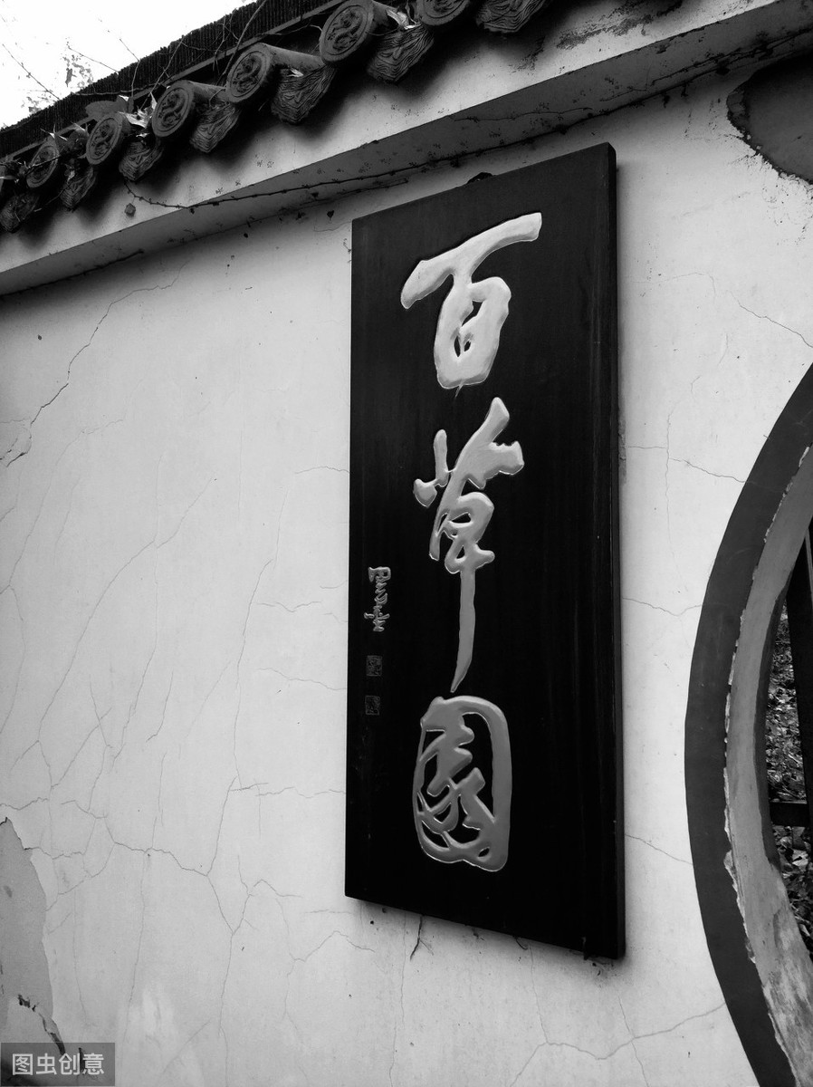 从百草园到三味书屋原文（三味书屋原文赏析） 第1张