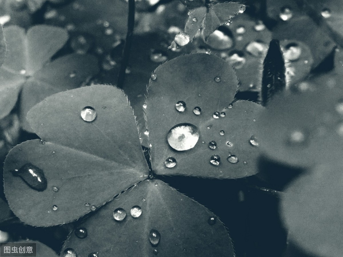 余秋雨经典语录名句（余秋雨名言摘抄语录） 第5张