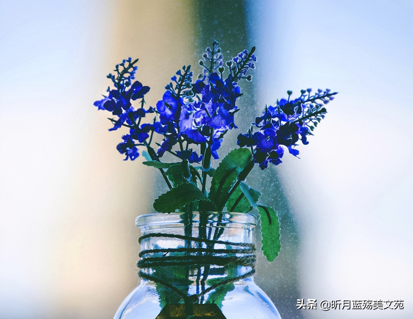 相遇的美好句子（高级有质感的句子） 第9张