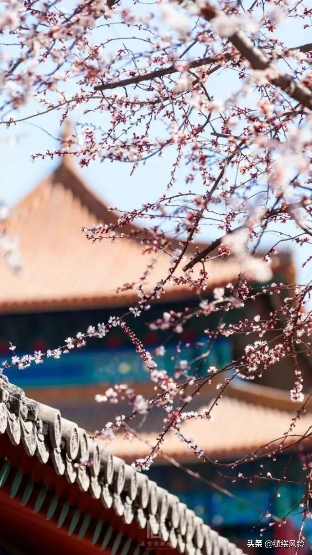 上善若水原文及翻译（道德经关于水的原文） 第7张